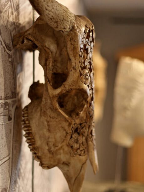 Decorative carved animal skull