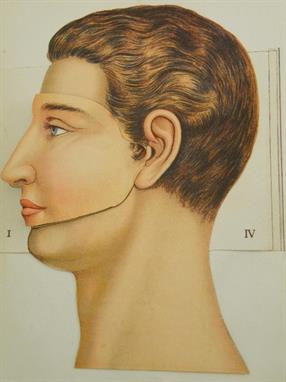 Early 20th century anatomical illustration books