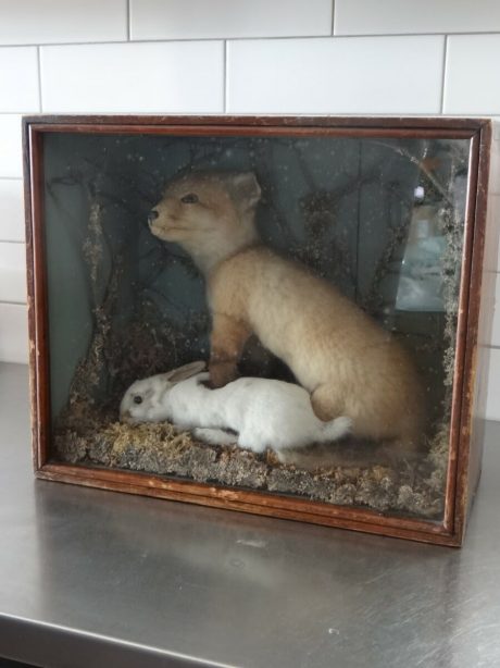 English Victorian cased taxidermy diorama c.1900