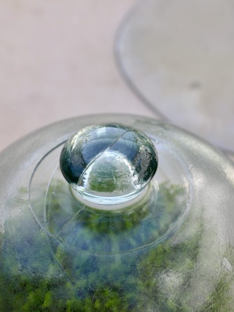 French Glass Garden Cloche