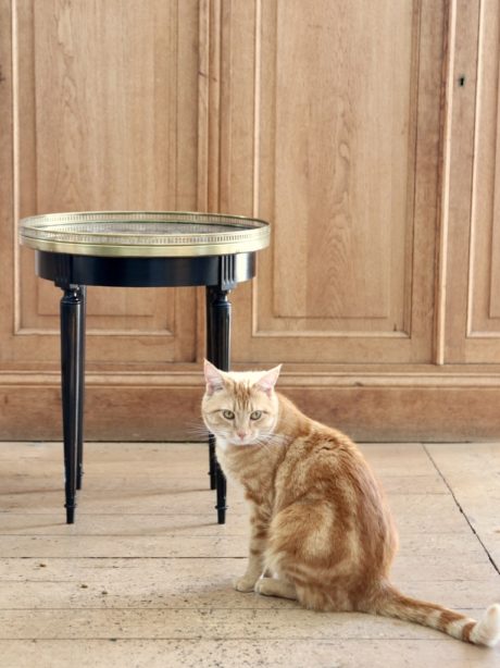 Ebonised empire style marble top side table