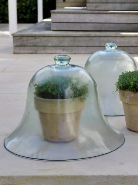 French Glass Garden Cloche
