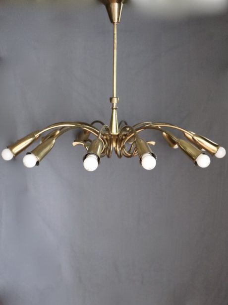 Italian Brass Botanical Twelve Light Chandelier