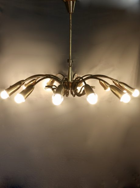 Italian Brass Botanical Twelve Light Chandelier